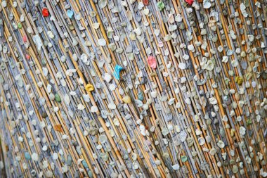 Paris, Fransa 'daki Pere-Lachaise mezarlığında Jim Morrison' ın mezarının yanında sakızla kaplı bir ağaç gövdesi.