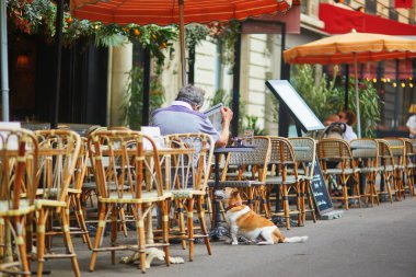 Köpeğiyle birlikte Paris, Fransa 'da bir kafede.