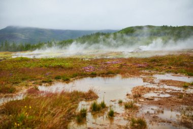 İzlanda 'da sisli yağmurlu bir günde ünlü Strokkur gayzerinin yanında fumaroleler
