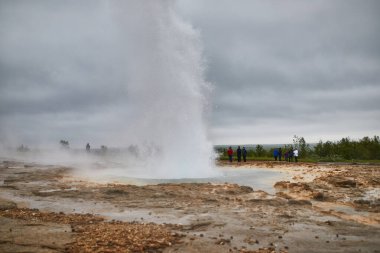İzlanda 'da sisli bir yağmurda püsküren ünlü Strokkur gayzeri