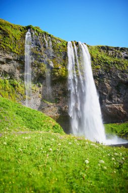 İzlanda 'nın en büyük şelalelerinden biri olan Seljalandsfoss' un gökkuşağı manzarası
