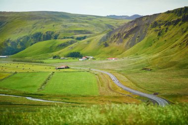 Yeşil tarlaları olan güzel doğa manzarası ve Güney İzlanda 'da buzlu ve karlı görkemli uçurumlar.