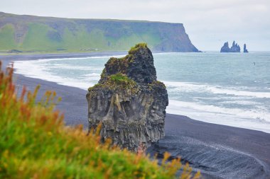 Reynisfjara 'nın İzlanda' daki Vik yakınlarındaki Kara Kum plajının manzarası.