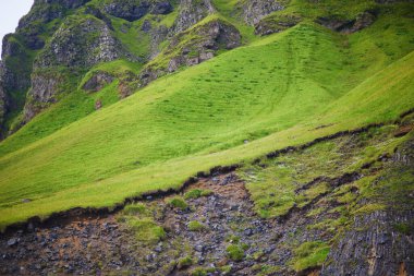 Reynisfjara 'daki bazalt kaya oluşumları İzlanda' daki Vik yakınlarında Kara Kum plajı.