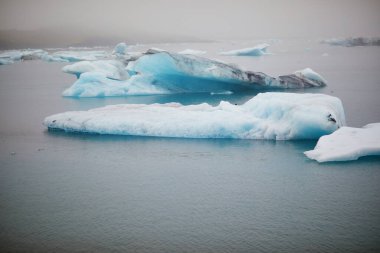 Güney İzlanda 'daki Jokulsarlon buzulunda yüzen buz tabakası