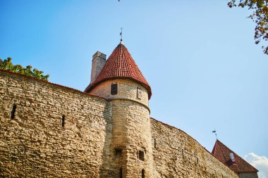 Estonya 'nın Tallinn kentinin manzarası. Eski Tallinn kasabası ortaçağ kökenini korudu, binaların çoğu 13-16 yüzyıl boyunca inşa edildi.