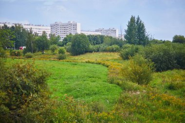 Saint-Petersburg, Rusya 'daki sakin yerleşim bölgesi manzarası