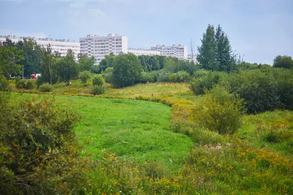 Saint-Petersburg, Rusya 'daki sakin yerleşim bölgesi manzarası