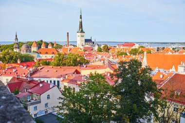 Estonya 'nın Tallinn kentinin manzarası. Eski Tallinn kasabası ortaçağ kökenini korudu, binaların çoğu 13-16 yüzyıl boyunca inşa edildi.