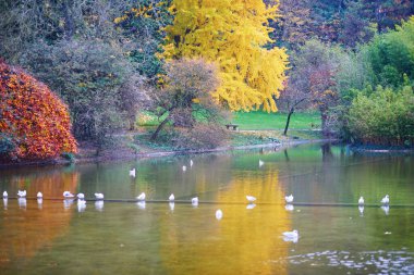 Montsouris 'deki renkli sonbahar ağaçlarının manzarası Paris, Fransa' da güzel bir sonbahar gününde