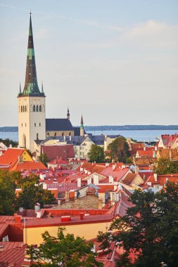 Estonya 'nın Tallinn kentinin manzarası. Eski Tallinn kasabası ortaçağ kökenini korudu, binaların çoğu 13-16 yüzyıl boyunca inşa edildi.
