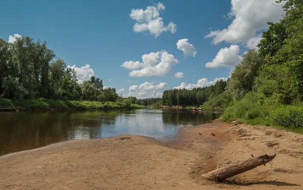 Вид Узбережжя Річки Гауджа Латвія — стокове фото