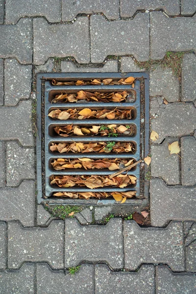 Осенью Дождевая Решетка Улице Полна Листьев — стоковое фото