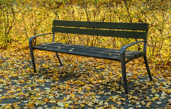 Осенний Пейзаж Скамейкой Парке — стоковое фото