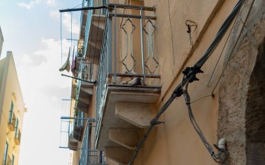 Balkonunda uyuyan bir köpek olan bir evin parçası..