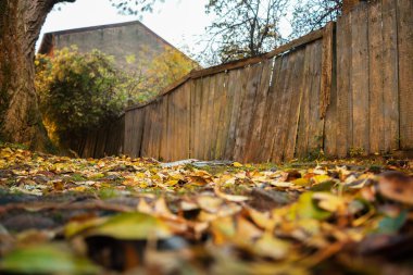 Ahşap çitli cadde manzarası.