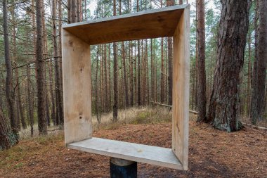 Panoramik pencereden ormanın manzarası.