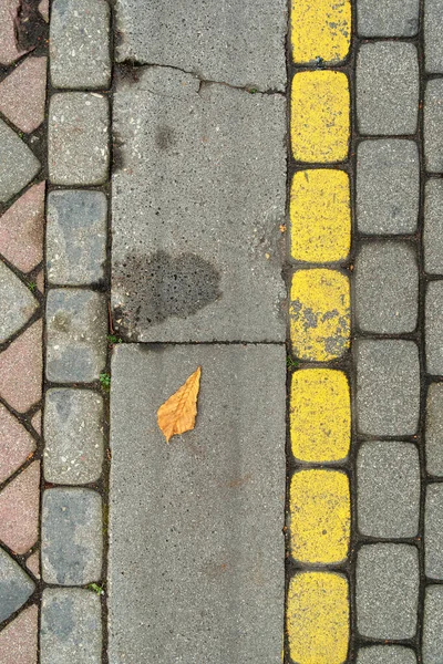 Yellow Leaf Cobblestone Road — Stock Photo, Image