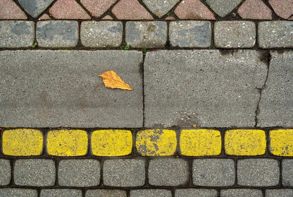 Yellow Leaf Cobblestone Road — Stock Photo, Image