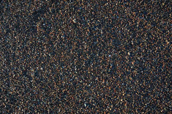 Σκληρή Θαλάσσια Άμμος Στις Ακτές Της Βαλτικής Θάλασσας — Φωτογραφία Αρχείου