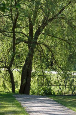 A view of the small bridge over the gravel.
