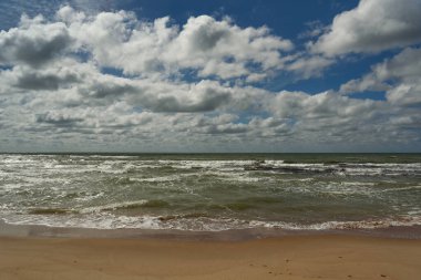 Baltık sahili manzarası.
