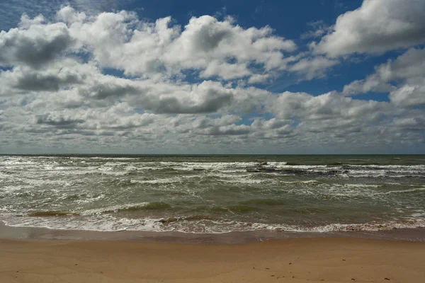Baltık sahili manzarası.