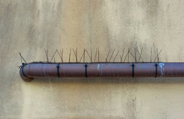Pipe on the wall of a building in Italy with bird protection.