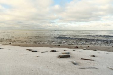 Baltık sahili manzarası.