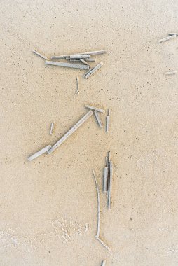 Objects on the frosty surface of the sand.
