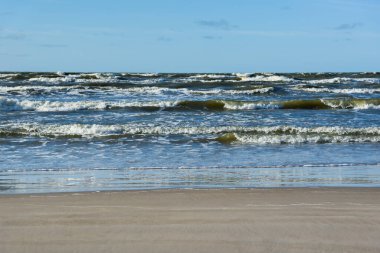Baltık sahili manzarası.