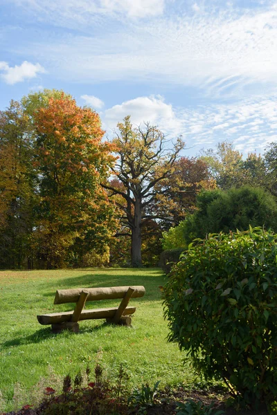Empty Bench Park Autumn Time — Stock Photo, Image