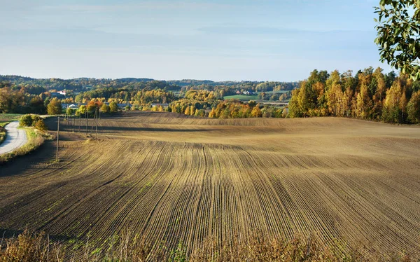 Вид Поля Осенью — стоковое фото