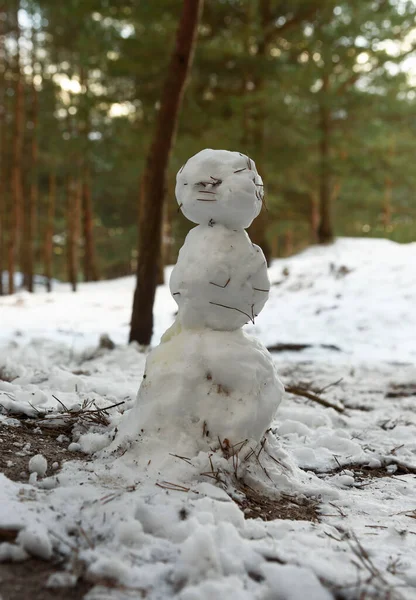 松林里最后一个雪人 — 图库照片