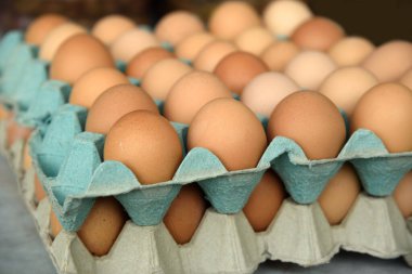 Bir markette tepside taze yumurta..