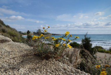 Akdeniz kıyısında..