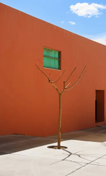 Pequeño Árbol Una Casa Roja — Foto de Stock