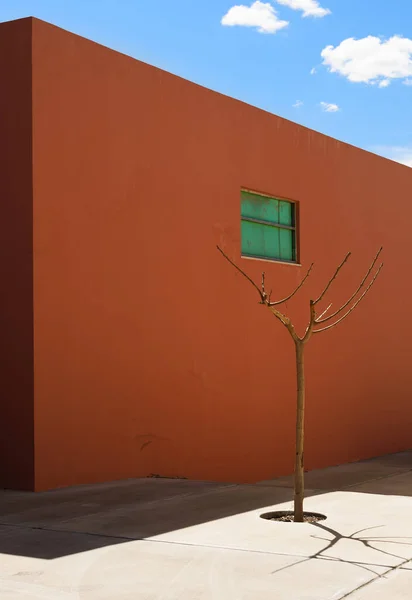 Uma Pequena Árvore Uma Casa Vermelha — Fotografia de Stock