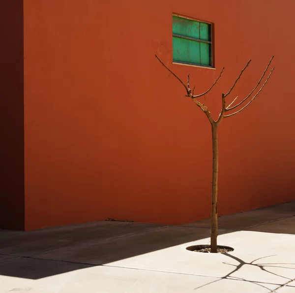Małe Drzewo Czerwony Dom — Zdjęcie stockowe