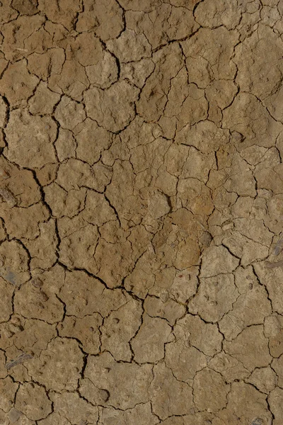 Pohled Popraskanou Zem Během Období Bez Vody — Stock fotografie