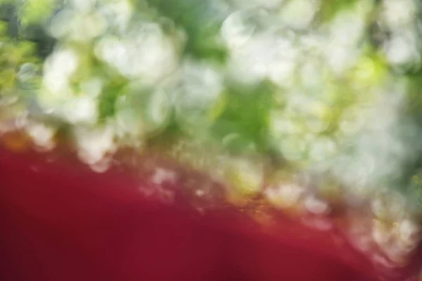 Árvore Flor Cereja Abstrata Primavera Com Detalhe Vermelho — Fotografia de Stock