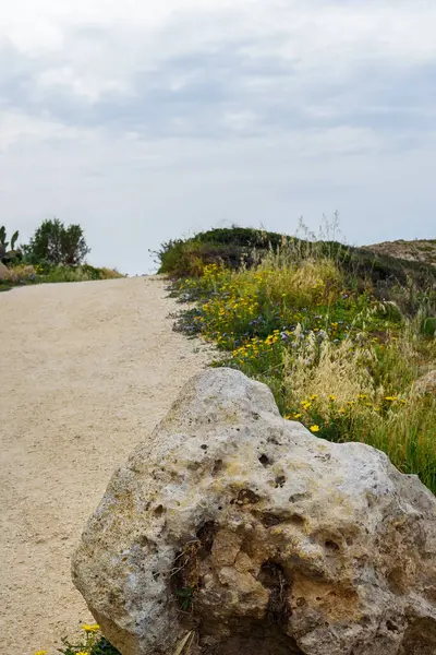 砂利道の大きな石 — ストック写真