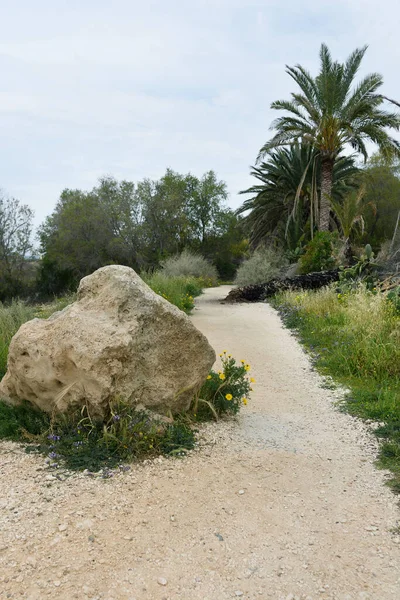 砂利道の大きな石 — ストック写真