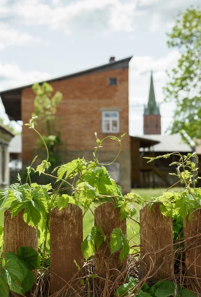 小さな町で野生のブドウと木製の柵の眺め — ストック写真