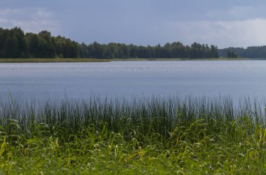 Letonya 'daki büyük göl manzarası, Valdemarpils.