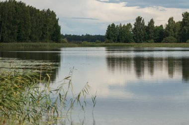 Letonya 'daki büyük göl manzarası, Valdemarpils.