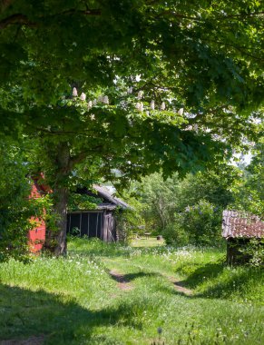 Eski ahırların arasında yeşil yol.