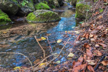 Kaynağın suyu büyük bir taşın arasından akar..