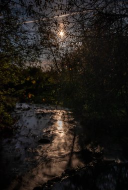 Ay nehir suyuna yansıyor..