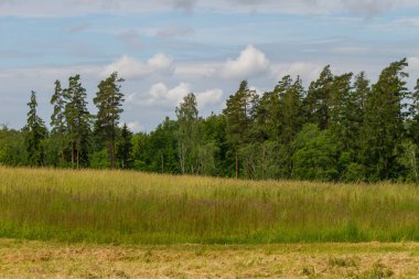 Yaz aylarında kırsal manzara.